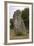 Menhir De Belinac-null-Framed Photographic Print