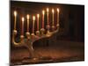 Menorah with Candles, Lit for Chanukah, Bellevue, Washington, USA-Merrill Images-Mounted Photographic Print