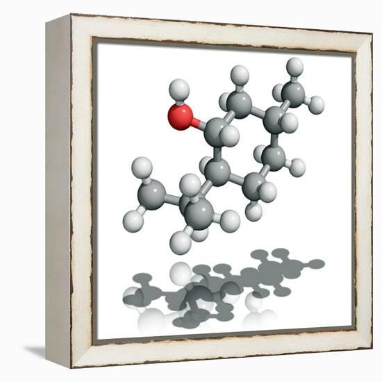 Menthol Molecule-Laguna Design-Framed Premier Image Canvas