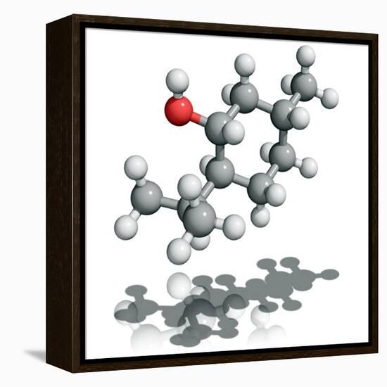 Menthol Molecule-Laguna Design-Framed Premier Image Canvas