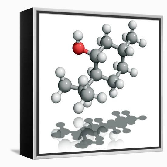 Menthol Molecule-Laguna Design-Framed Premier Image Canvas