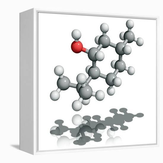 Menthol Molecule-Laguna Design-Framed Premier Image Canvas