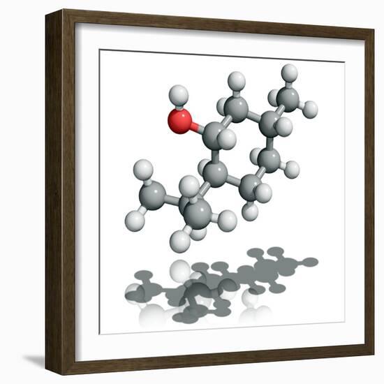 Menthol Molecule-Laguna Design-Framed Premium Photographic Print