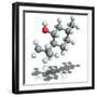 Menthol Molecule-Laguna Design-Framed Premium Photographic Print