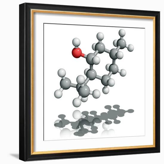 Menthol Molecule-Laguna Design-Framed Premium Photographic Print