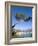 Menton, Alpes-Maritimes, Cote D'Azur, Provence, French Riviera, France, Mediterranean, Europe-Sergio Pitamitz-Framed Photographic Print