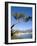 Menton, Alpes-Maritimes, Cote D'Azur, Provence, French Riviera, France, Mediterranean, Europe-Sergio Pitamitz-Framed Photographic Print