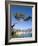 Menton, Alpes-Maritimes, Cote D'Azur, Provence, French Riviera, France, Mediterranean, Europe-Sergio Pitamitz-Framed Photographic Print