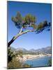 Menton, Alpes-Maritimes, Cote D'Azur, Provence, French Riviera, France, Mediterranean, Europe-Sergio Pitamitz-Mounted Photographic Print