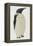 Menu in the Shape on an Emperor Penguin, for the Midwinter's Day Dinner, Cape Evans, 22nd June 1912-Edward W. Nelson-Framed Premier Image Canvas