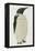 Menu in the Shape on an Emperor Penguin, for the Midwinter's Day Dinner, Cape Evans, 22nd June 1912-Edward W. Nelson-Framed Premier Image Canvas