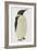 Menu in the Shape on an Emperor Penguin, for the Midwinter's Day Dinner, Cape Evans, 22nd June 1912-Edward W. Nelson-Framed Giclee Print