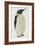 Menu in the Shape on an Emperor Penguin, for the Midwinter's Day Dinner, Cape Evans, 22nd June 1912-Edward W. Nelson-Framed Giclee Print