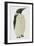 Menu in the Shape on an Emperor Penguin, for the Midwinter's Day Dinner, Cape Evans, 22nd June 1912-Edward W. Nelson-Framed Giclee Print