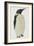 Menu in the Shape on an Emperor Penguin, for the Midwinter's Day Dinner, Cape Evans, 22nd June 1912-Edward W. Nelson-Framed Giclee Print