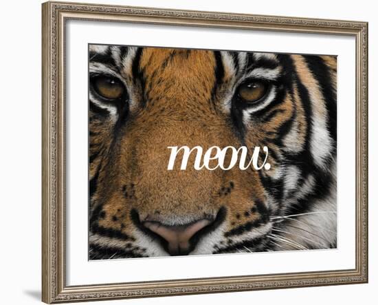 Meow-Thorsten Milse-Framed Art Print