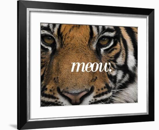 Meow-Thorsten Milse-Framed Art Print