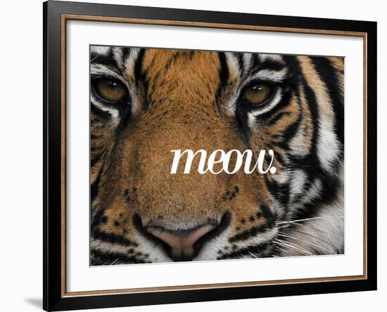 Meow-Thorsten Milse-Framed Art Print