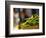 Mercado De San Miguel, Madrid, Spain-Walter Bibikow-Framed Photographic Print