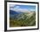 Mercantour National Park, Alpes-Haute-Provence, France-David Hughes-Framed Photographic Print