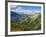 Mercantour National Park, Alpes-Haute-Provence, France-David Hughes-Framed Photographic Print