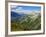 Mercantour National Park, Alpes-Haute-Provence, France-David Hughes-Framed Photographic Print