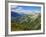 Mercantour National Park, Alpes-Haute-Provence, France-David Hughes-Framed Photographic Print