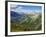 Mercantour National Park, Alpes-Haute-Provence, France-David Hughes-Framed Photographic Print