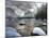 Merced River, El Capitan in Background, Yosemite, California, USA-Tom Norring-Mounted Photographic Print