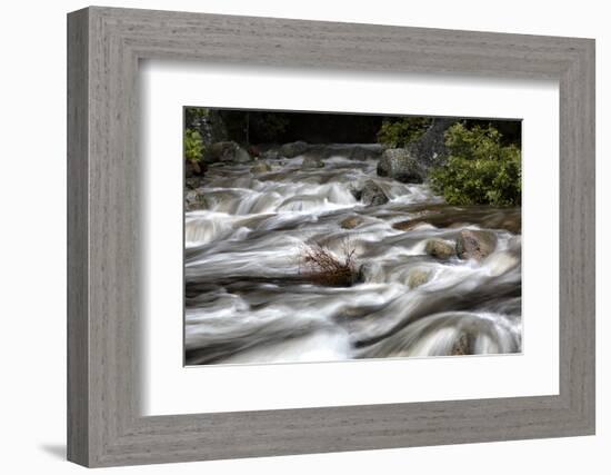 Merced River Swirls with white Foam. Yosemite National Park, California.-Tom Norring-Framed Photographic Print