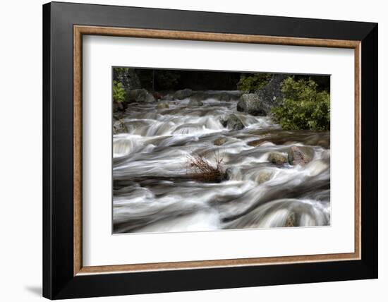 Merced River Swirls with white Foam. Yosemite National Park, California.-Tom Norring-Framed Photographic Print