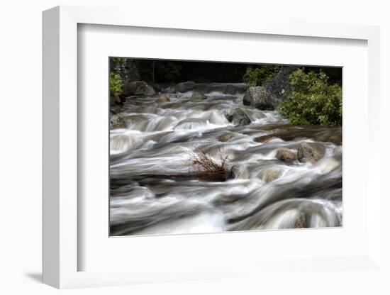 Merced River Swirls with white Foam. Yosemite National Park, California.-Tom Norring-Framed Photographic Print