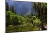 Merced River, Valley Floor, Yosemite National Park, California, USA-Michel Hersen-Mounted Photographic Print