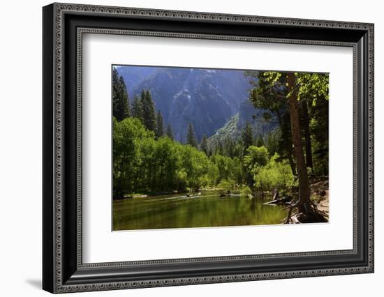 Merced River, Valley Floor, Yosemite National Park, California, USA-Michel Hersen-Framed Photographic Print