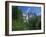 Merced River, Yosemite Falls in the Background, Yosemite National Park, California, USA-Tomlinson Ruth-Framed Photographic Print