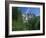 Merced River, Yosemite Falls in the Background, Yosemite National Park, California, USA-Tomlinson Ruth-Framed Photographic Print