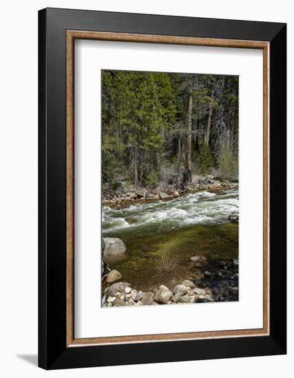Merced River, Yosemite Valley, Yosemite National Park, California, USA-David Wall-Framed Photographic Print
