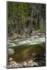 Merced River, Yosemite Valley, Yosemite National Park, California, USA-David Wall-Mounted Photographic Print
