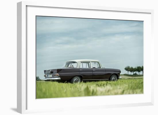 Mercedes 200, Type W 110, Year of Manufacture 1966, 95 Hp-Bernd Wittelsbach-Framed Photographic Print