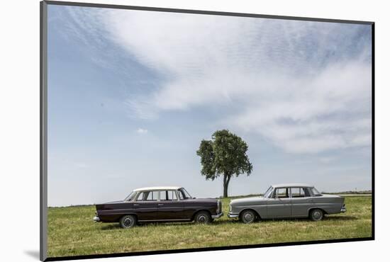 Mercedes 220 Sb, Type W 111, Year of Manufacture 1963, 105 Hp, and Mercedes 200-Bernd Wittelsbach-Mounted Photographic Print