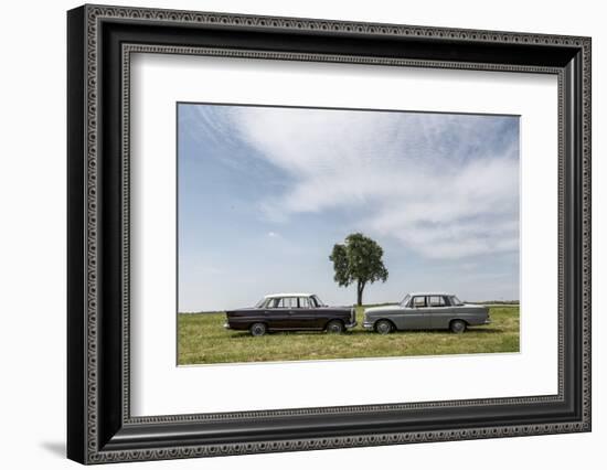 Mercedes 220 Sb, Type W 111, Year of Manufacture 1963, 105 Hp, and Mercedes 200-Bernd Wittelsbach-Framed Photographic Print