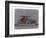 Mercedes Benz 300-NaxArt-Framed Art Print