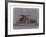 Mercedes Benz 300-NaxArt-Framed Art Print