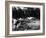 Mercedes-Benz Ss in Action at the Le Mans 24 Hours, France, 1930-null-Framed Photo