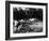 Mercedes-Benz Ss in Action at the Le Mans 24 Hours, France, 1930-null-Framed Photo