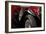 Mercedez - Benz 1929-Philippe Sainte-Laudy-Framed Photographic Print