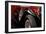 Mercedez - Benz 1929-Philippe Sainte-Laudy-Framed Photographic Print