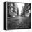 Mercer Street-Evan Morris Cohen-Framed Premier Image Canvas