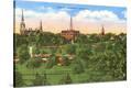 Stretched Canvas Print