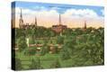 Stretched Canvas Print